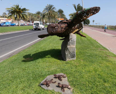 Turtles Morro Jable public art canaries